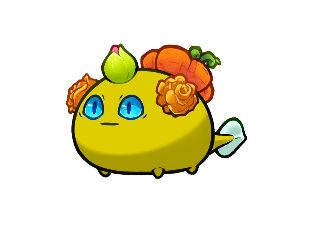 Axie Image