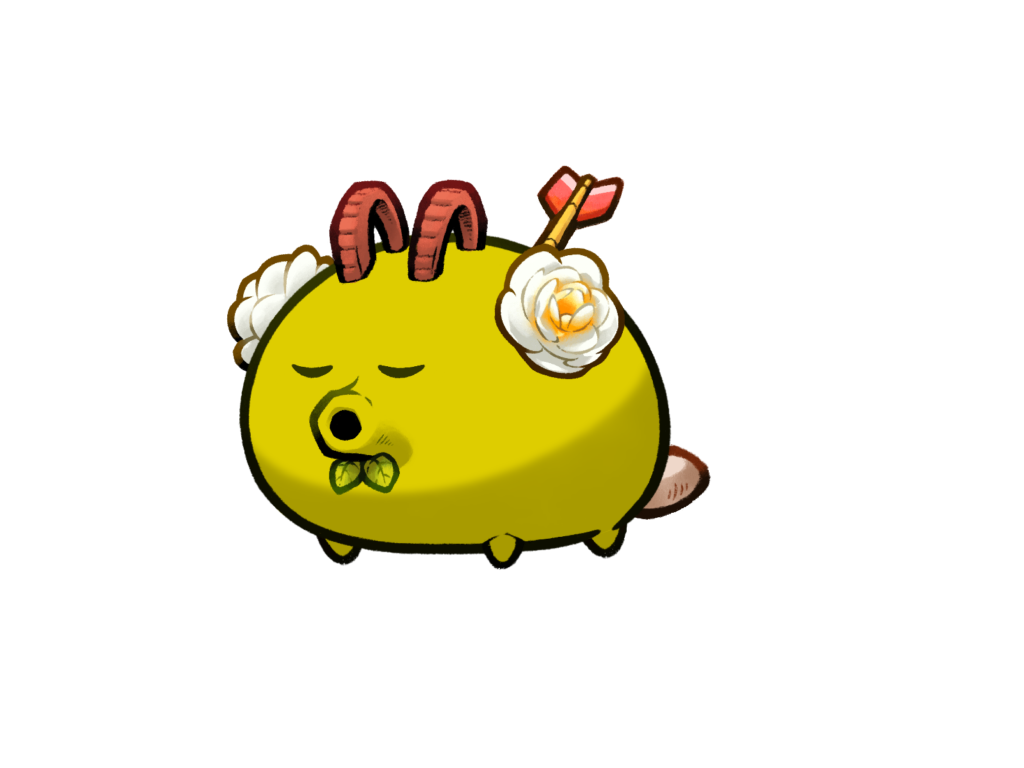Axie Image