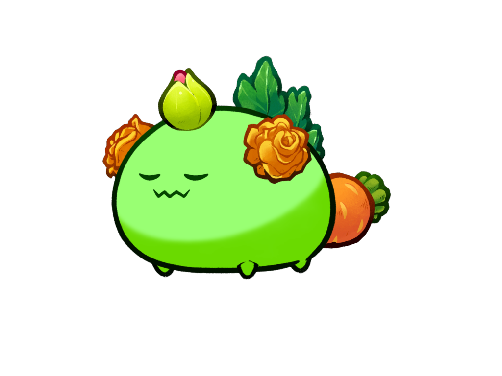 Axie Image