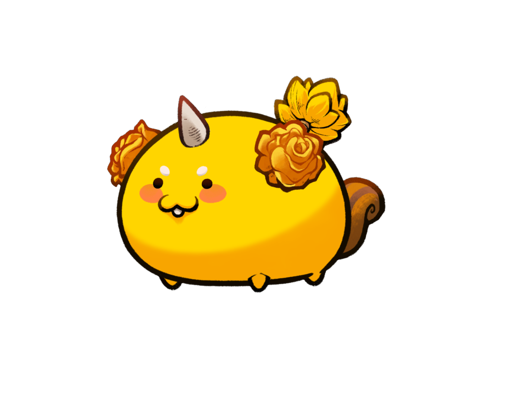 Axie Image