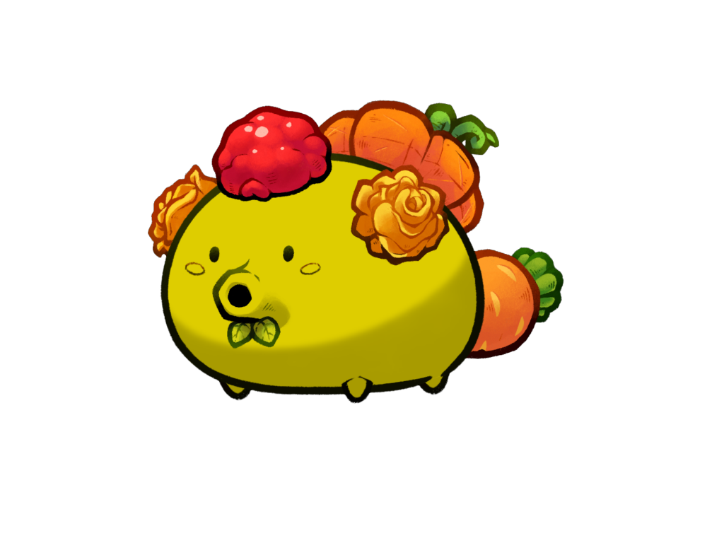 Axie 2382934
