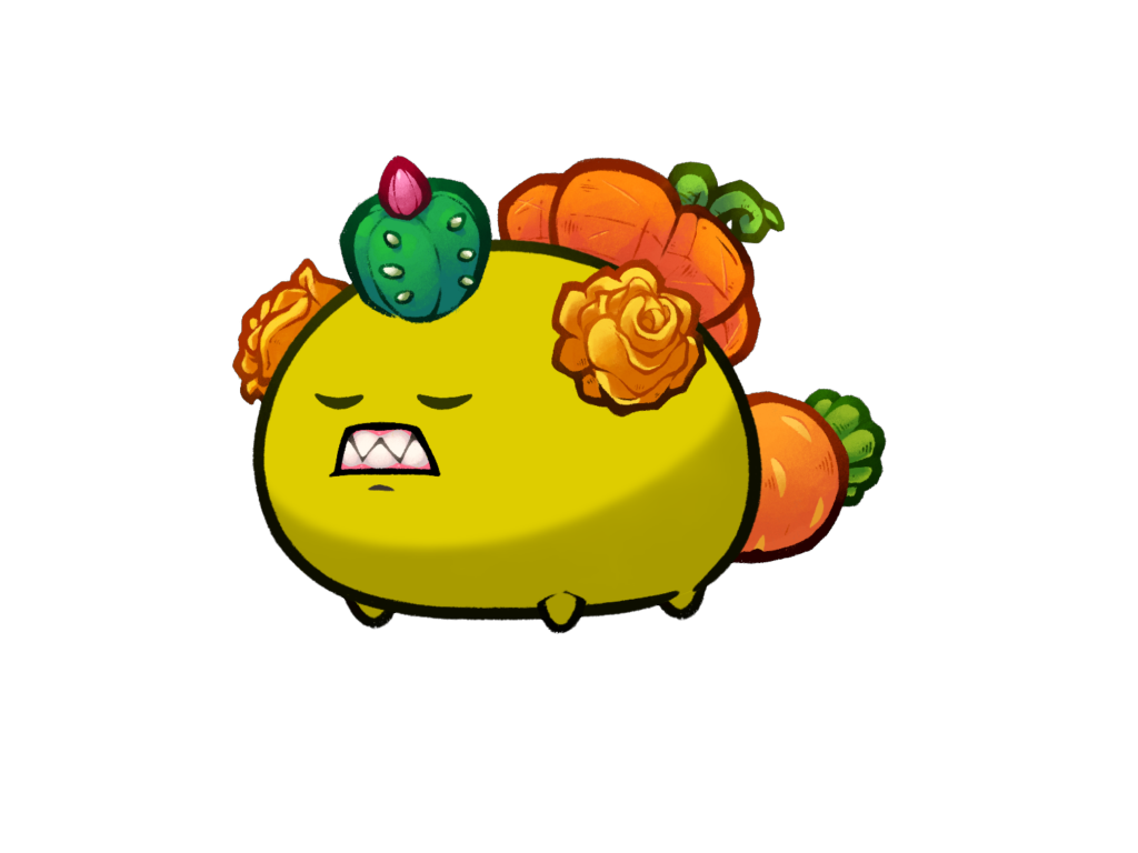 Axie Image