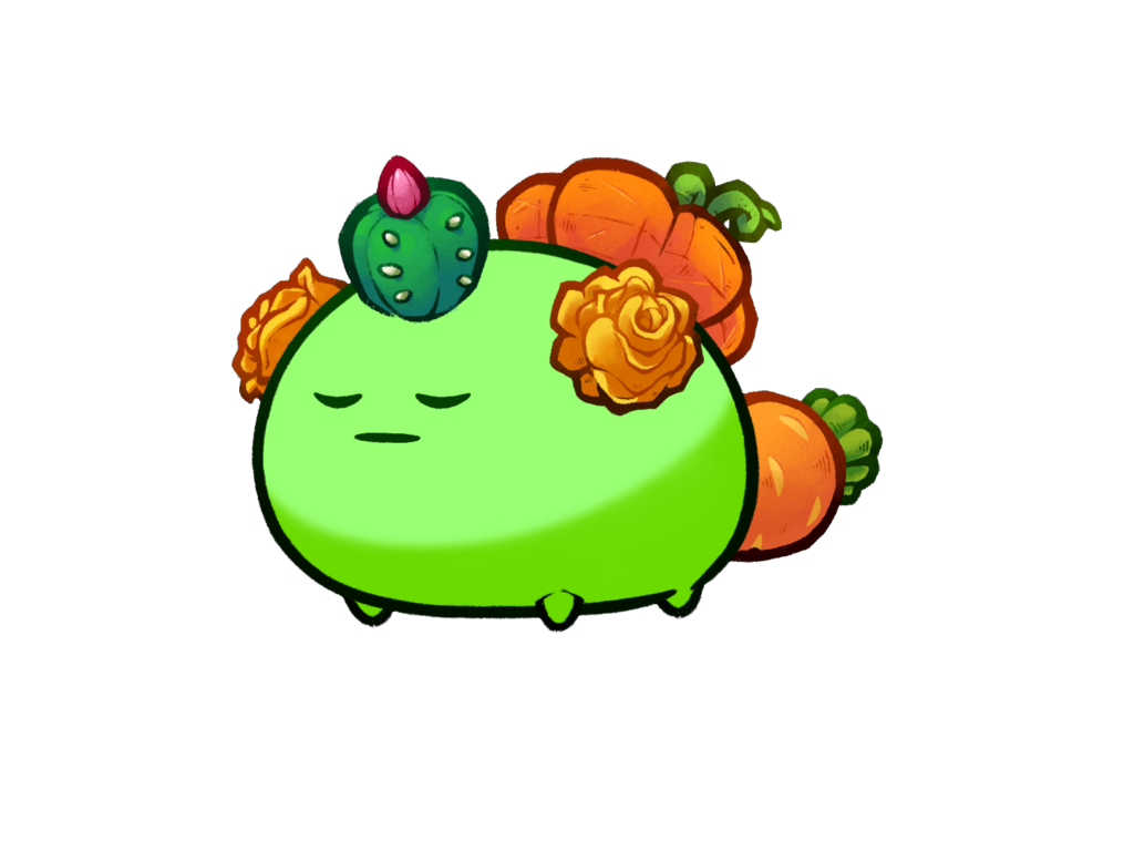 Axie Image