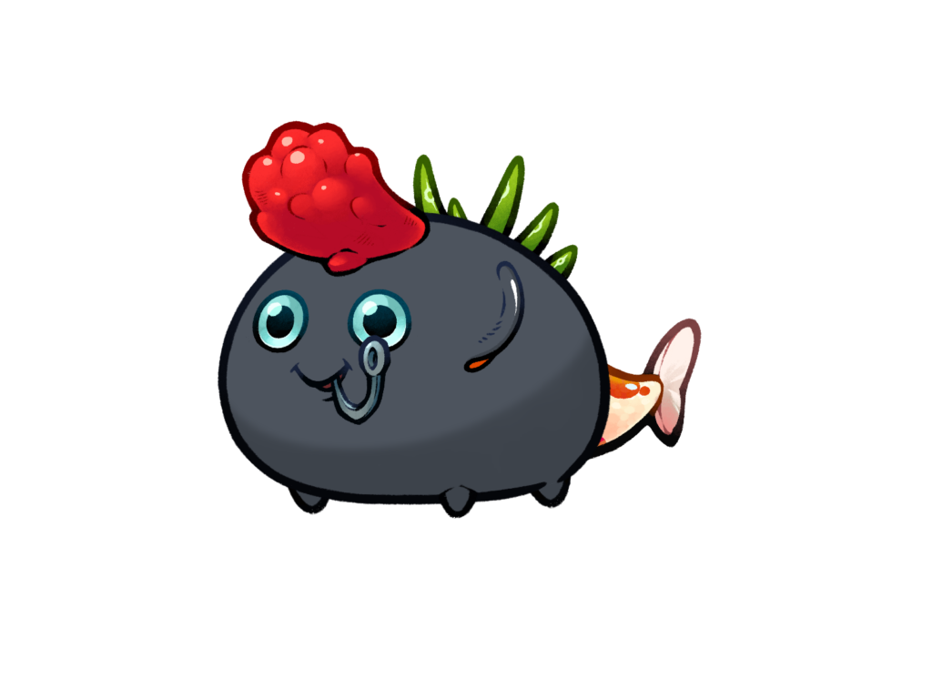 Axie 2559850