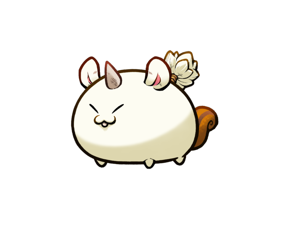 Axie 2581508