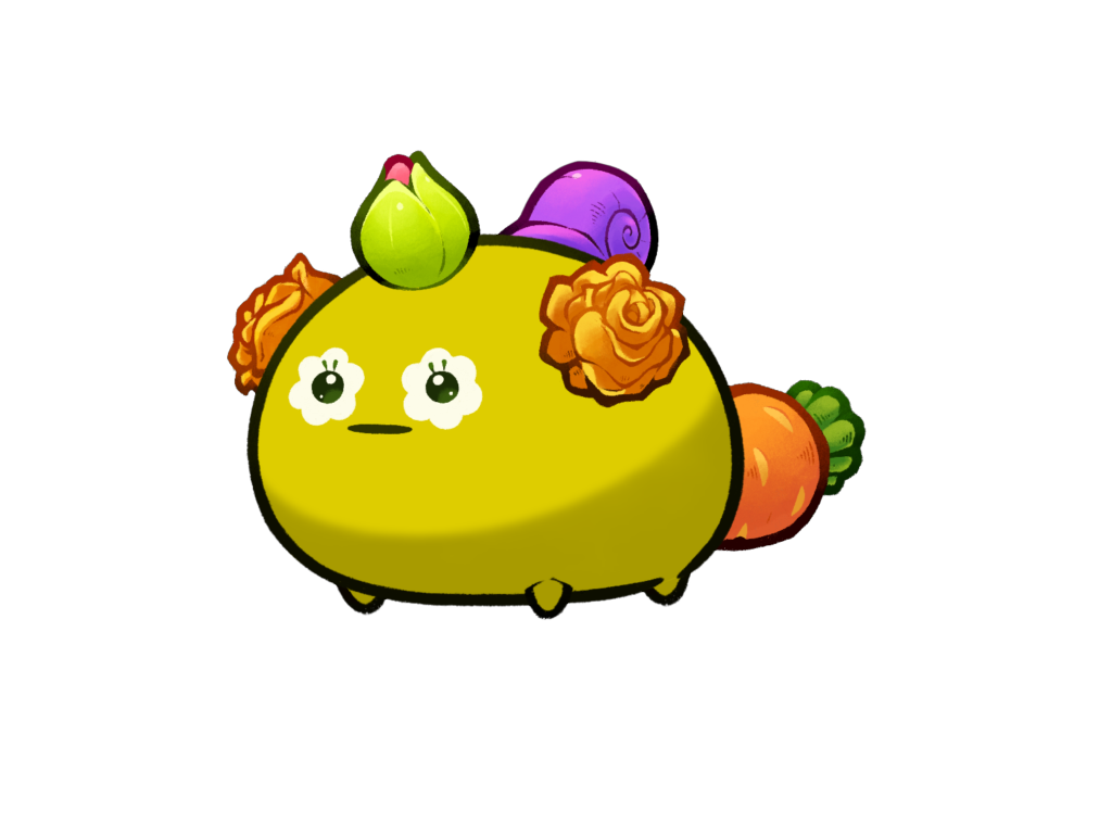 Axie Image