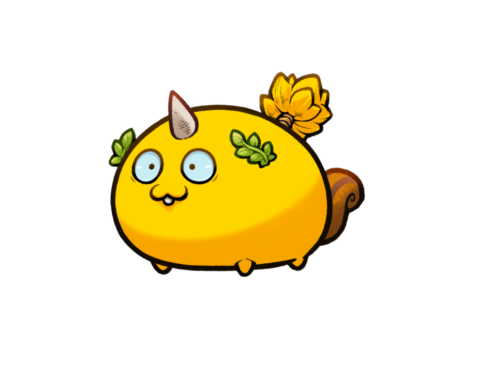 Axie Image