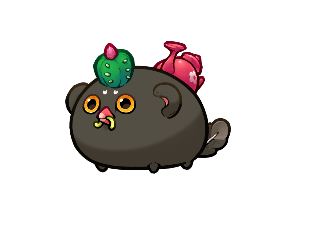 Axie Image