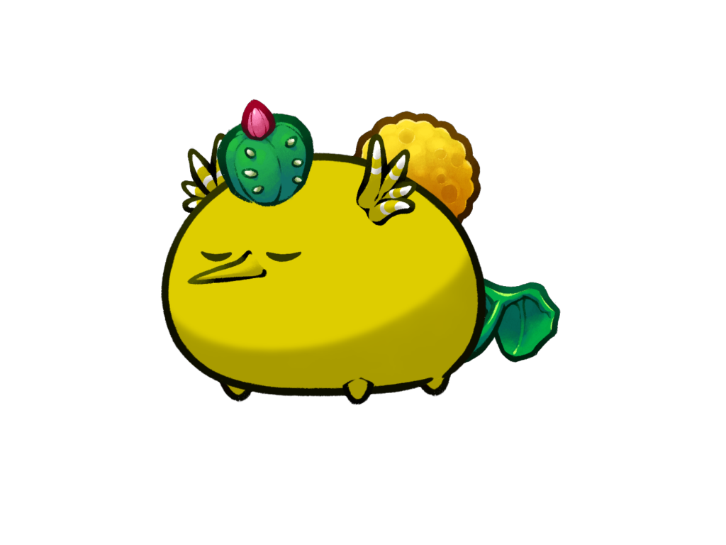 Axie Image