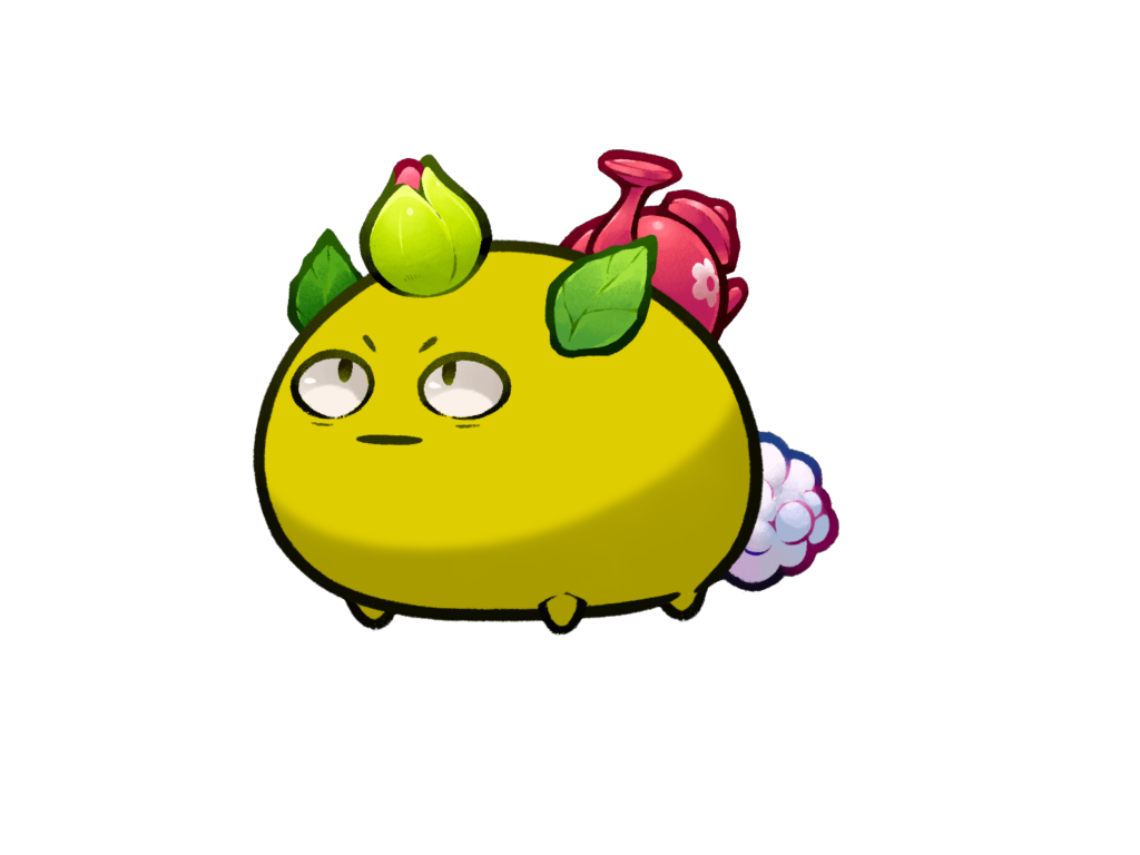 Axie Image