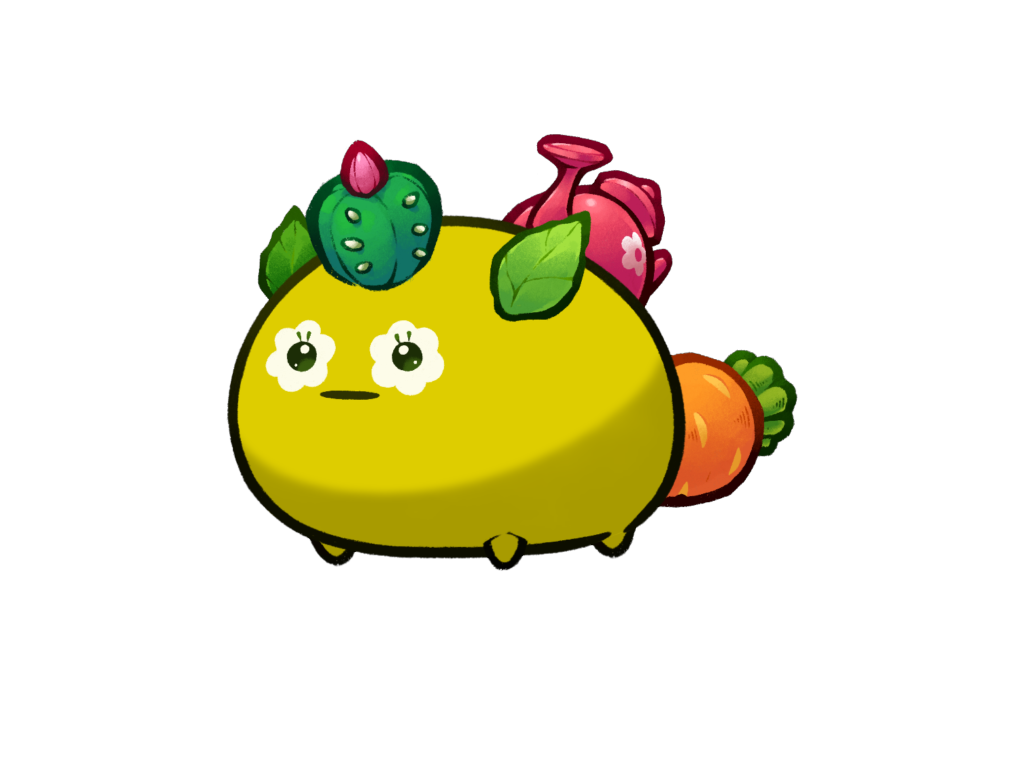 Axie 323883