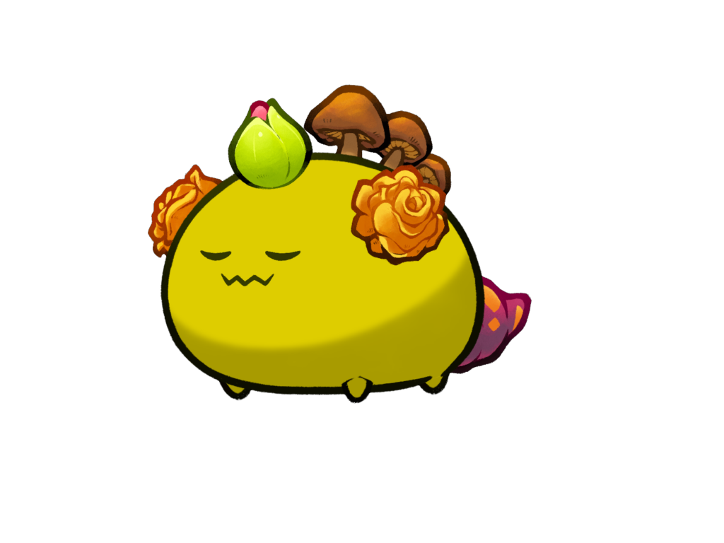 Axie Image