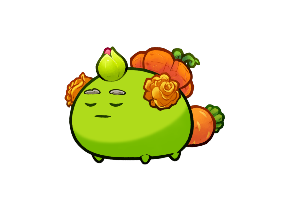 Axie Image