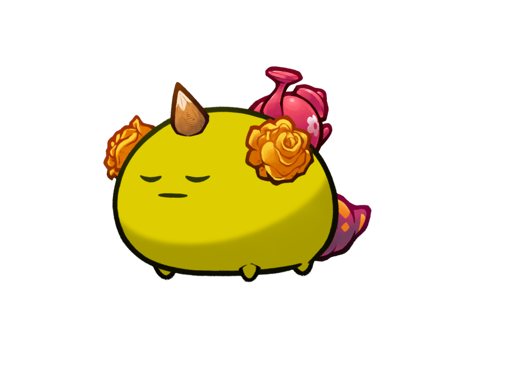 Axie Image