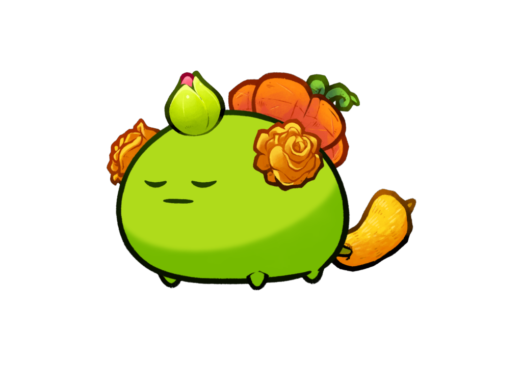 Axie Image