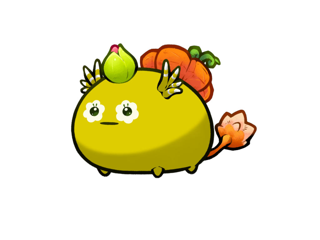 Axie Image