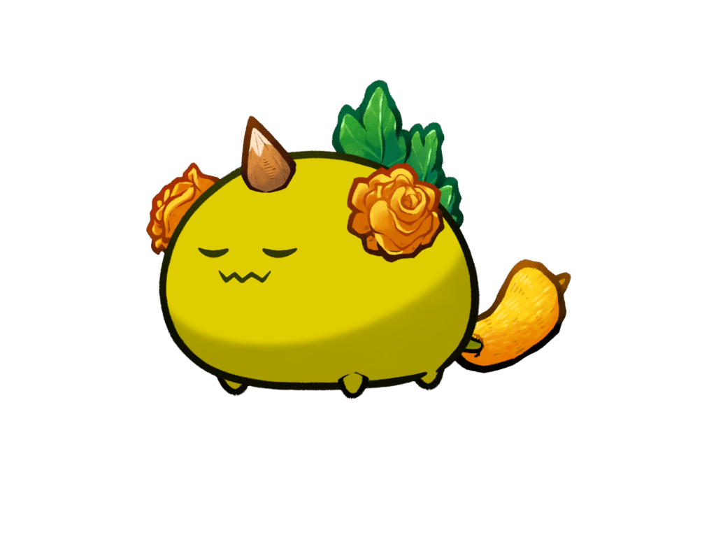 Axie Image