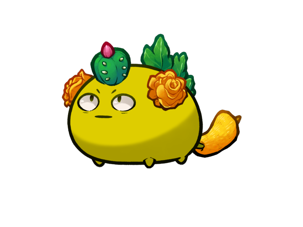 Axie Image