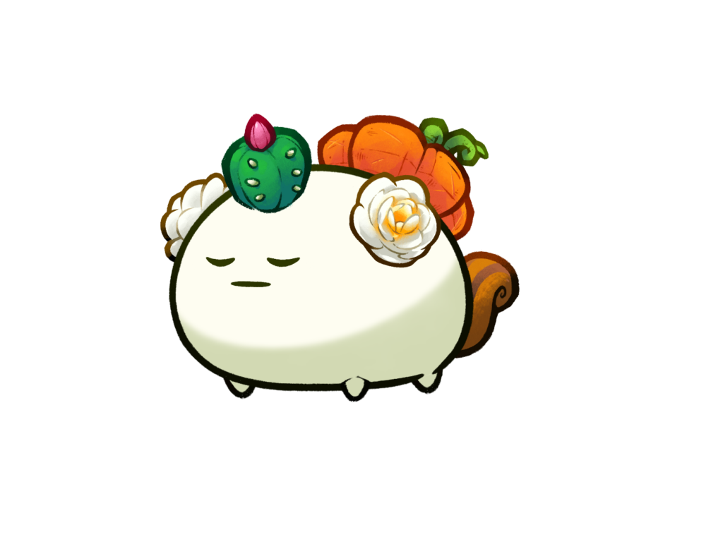 Axie Image