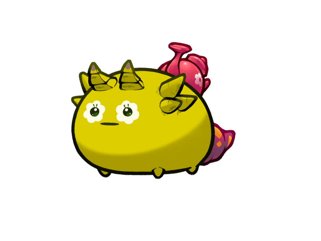 Axie Image