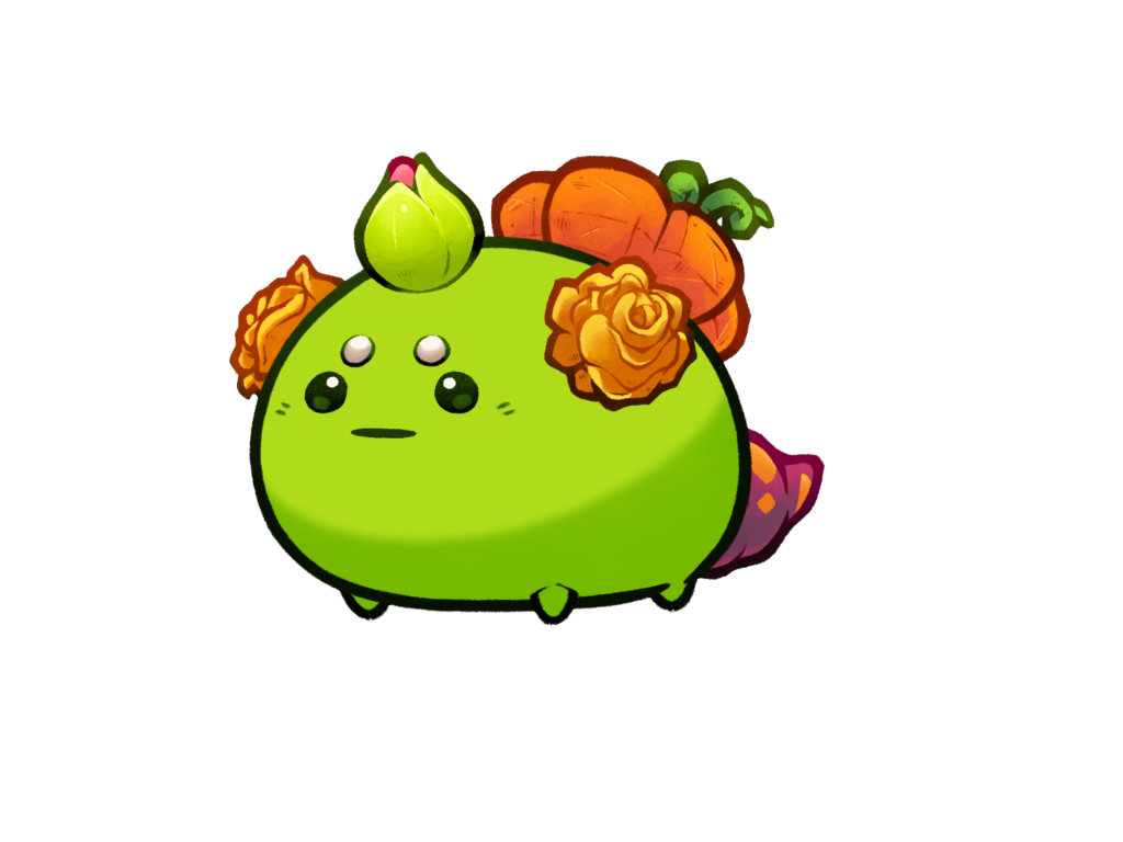 Axie Image