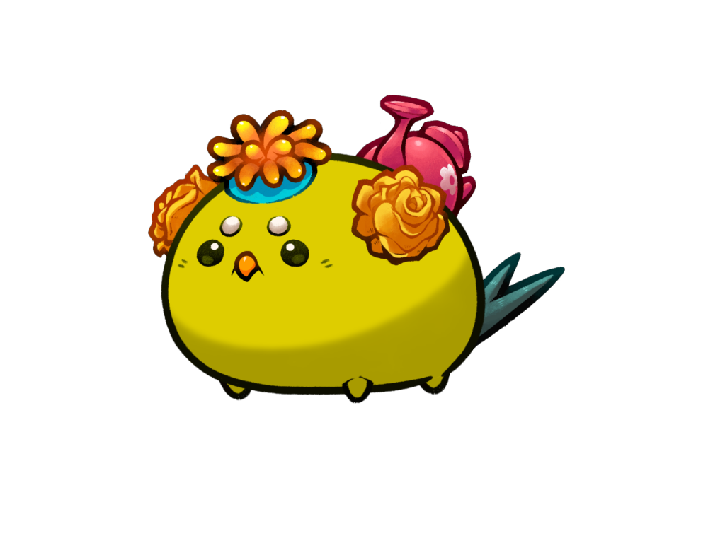 Axie Image