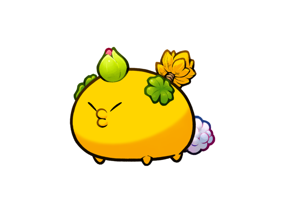 Axie Image