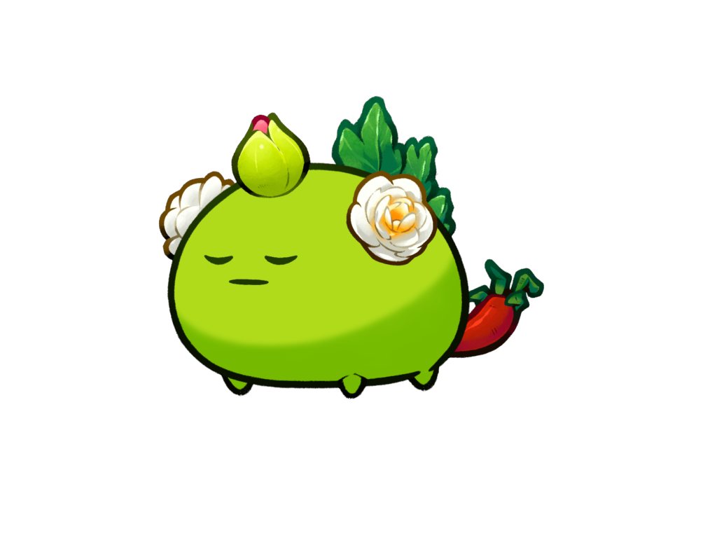 Axie Image