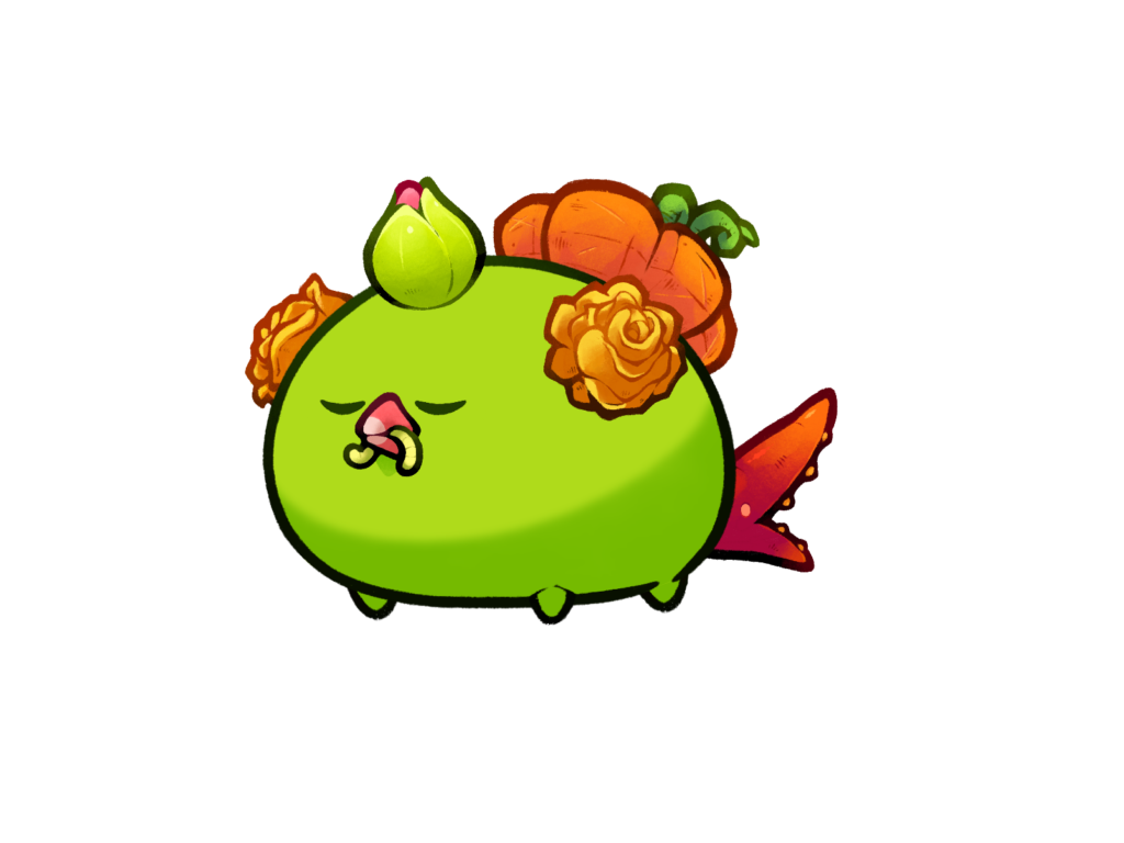 Axie Image