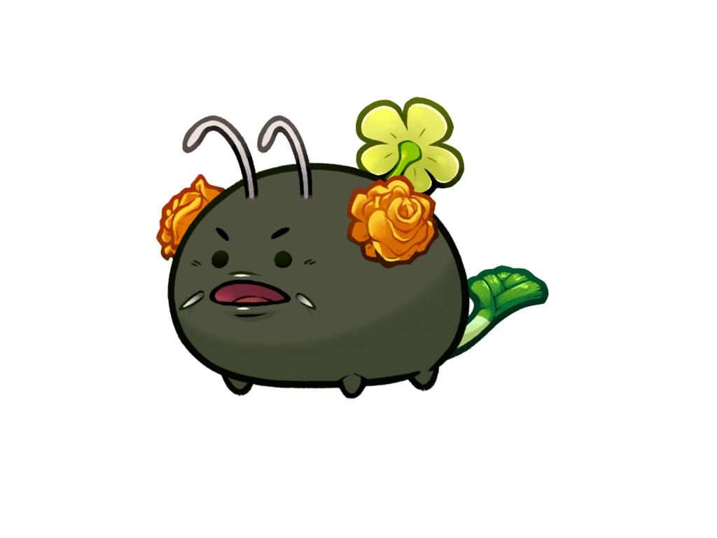 結婚祝い ダブル 金のなる木 専用ページ購入不可 レインボー 大吉数入り ひまわり金運up 絵画 タペストリ