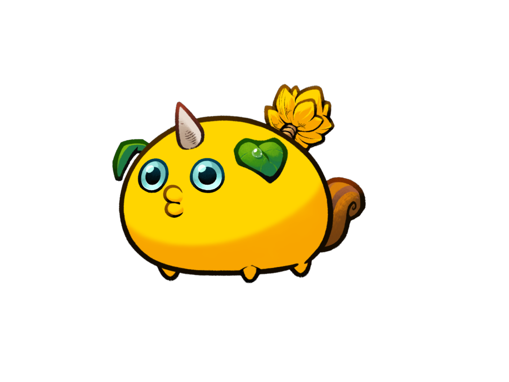 Axie Image