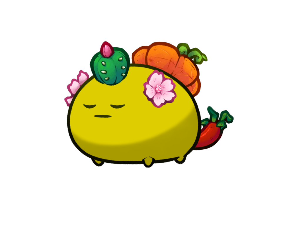 Axie Image