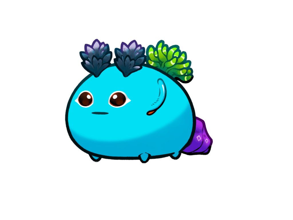 Axie Image