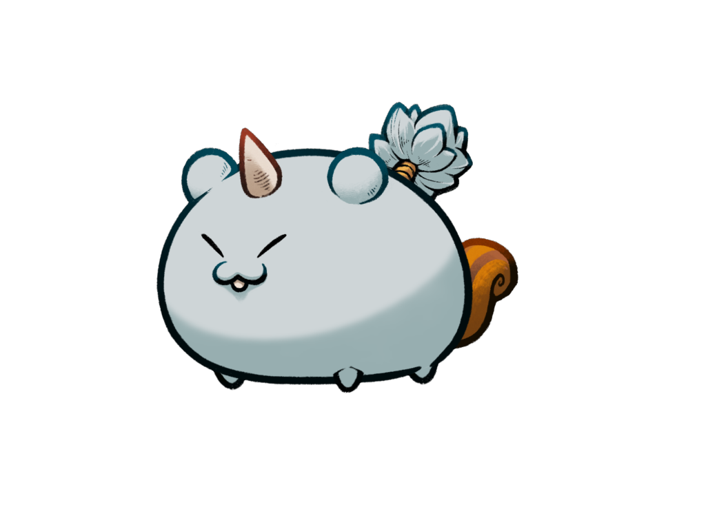 Axie 5097323