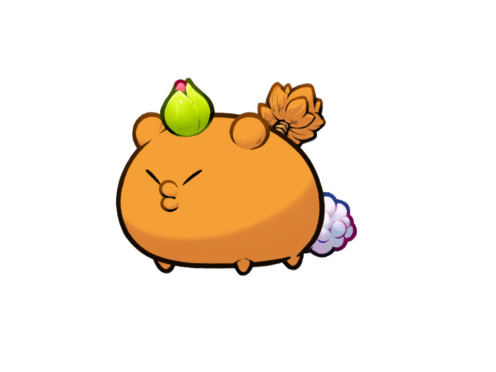 Axie Image