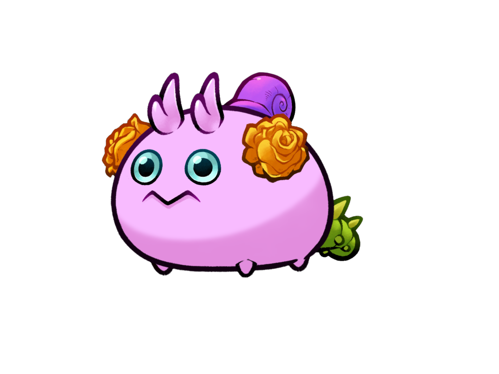Axie Image