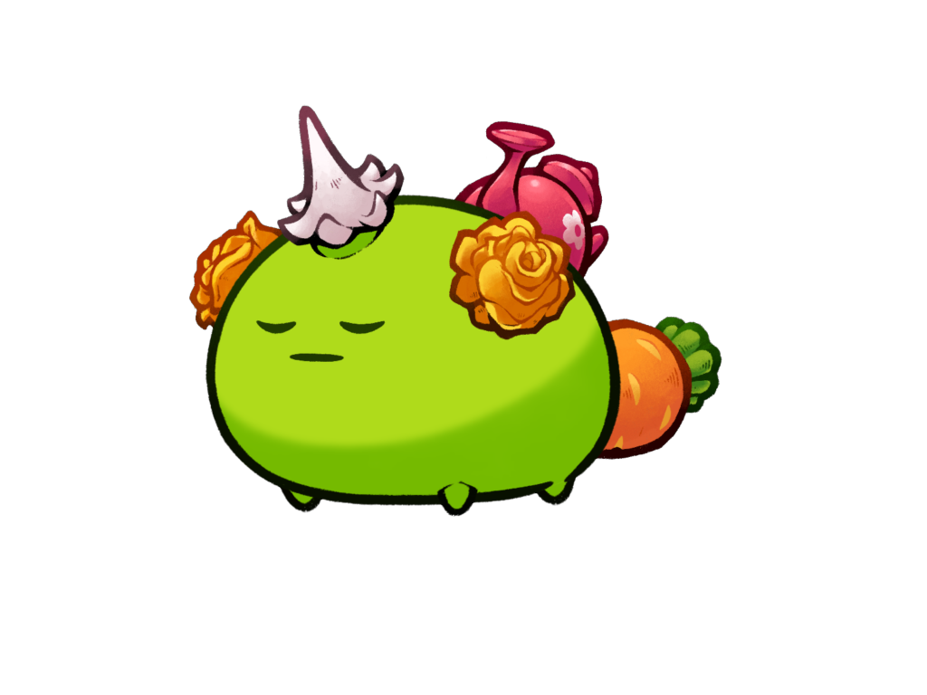 Axie Image
