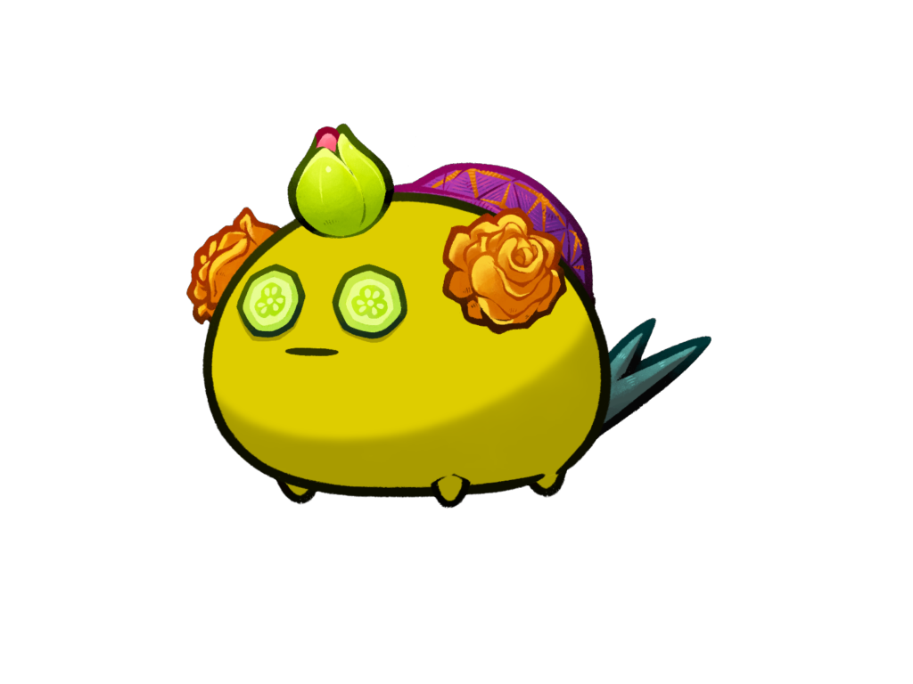 Axie Image