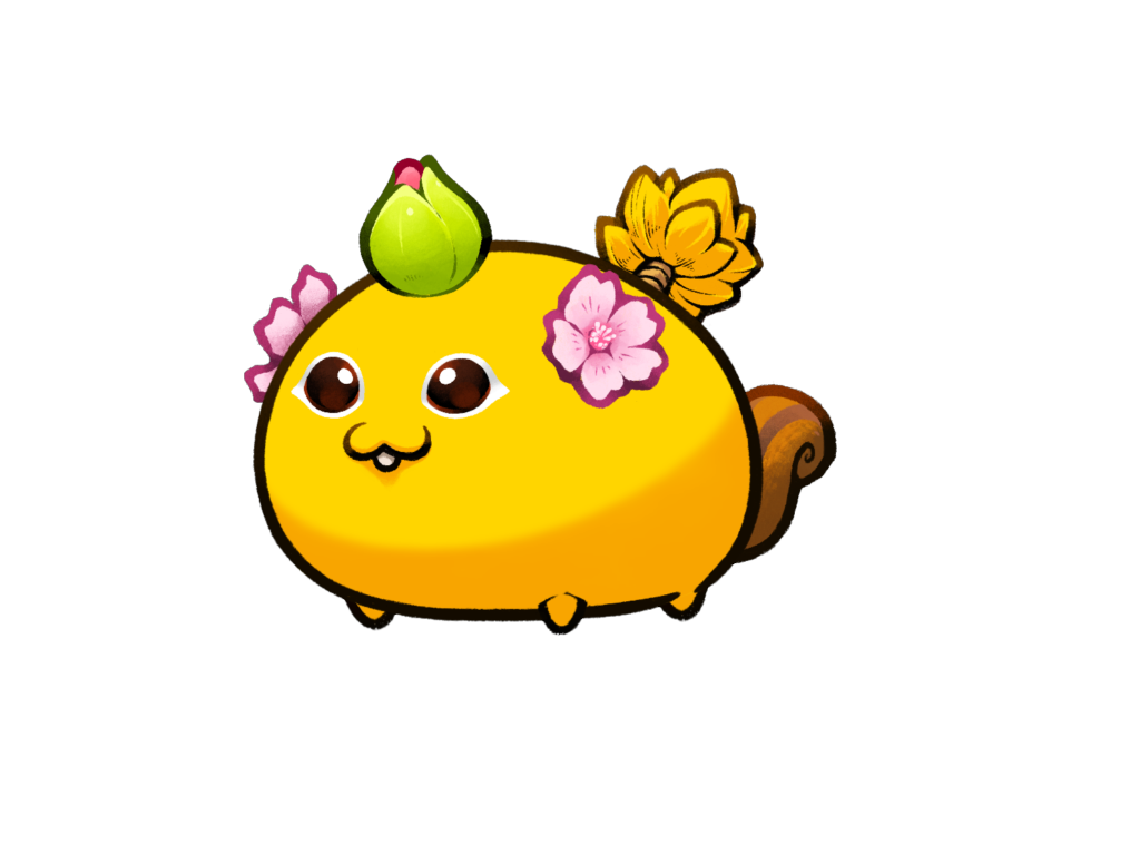 Axie Image