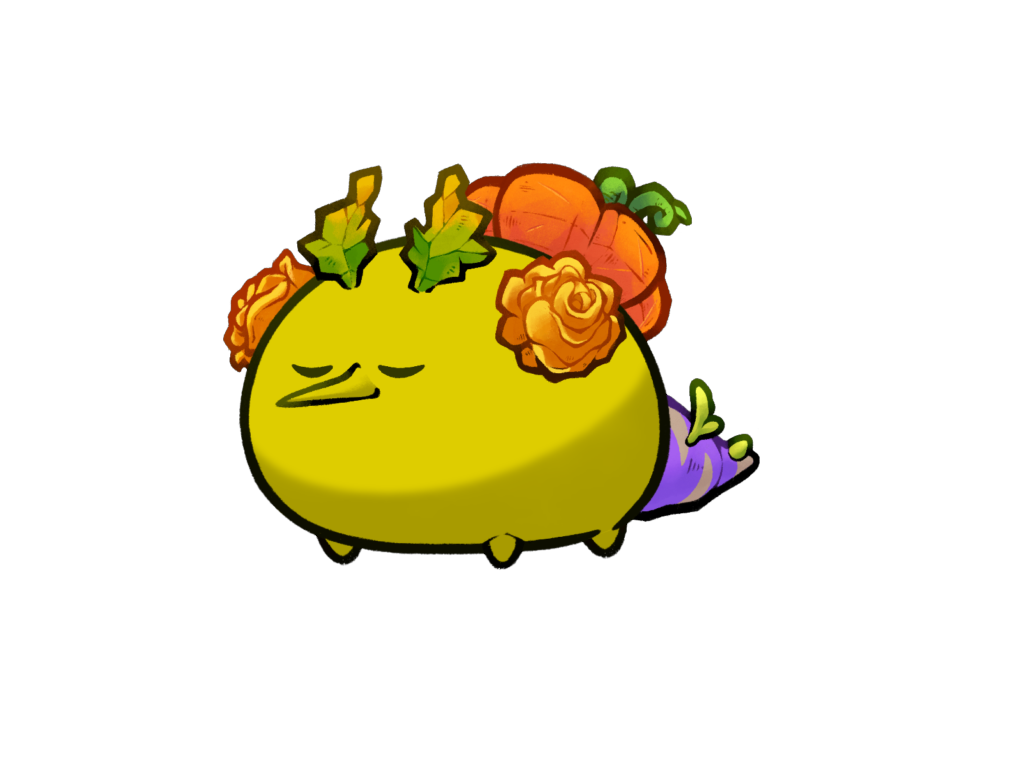 Axie 5542937