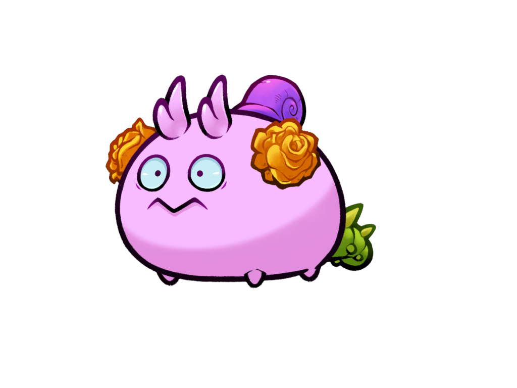 Axie Image