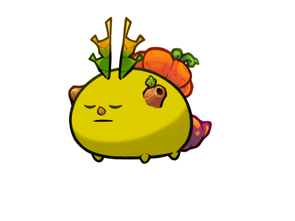 Axie 5847636