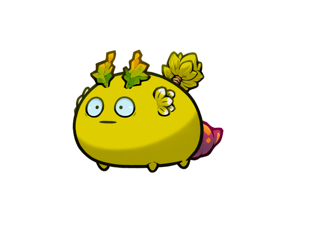 Axie 5998701