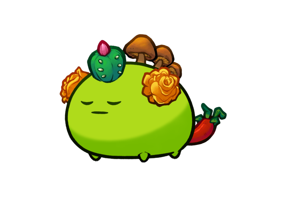 Axie Image