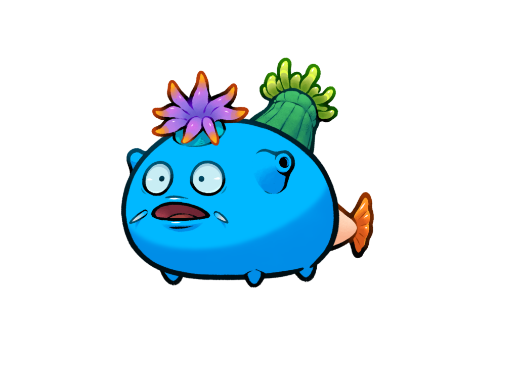 Axie 6117817