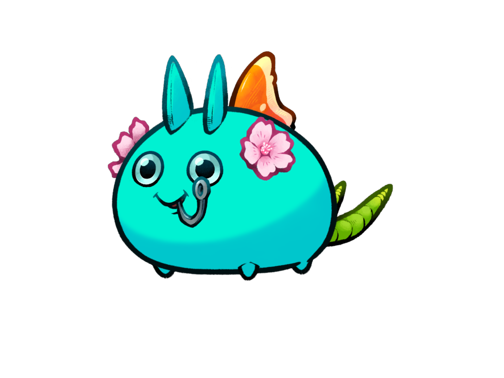 Axie 6202160