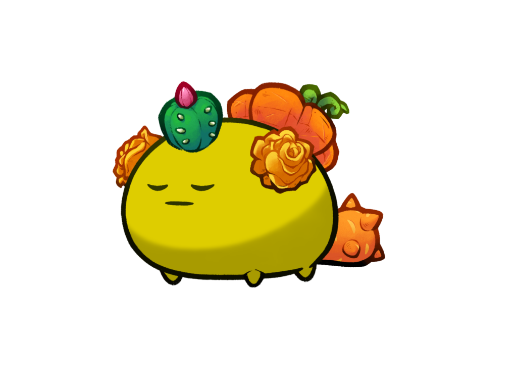 Axie Image
