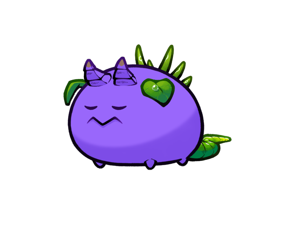 Axie 6290427