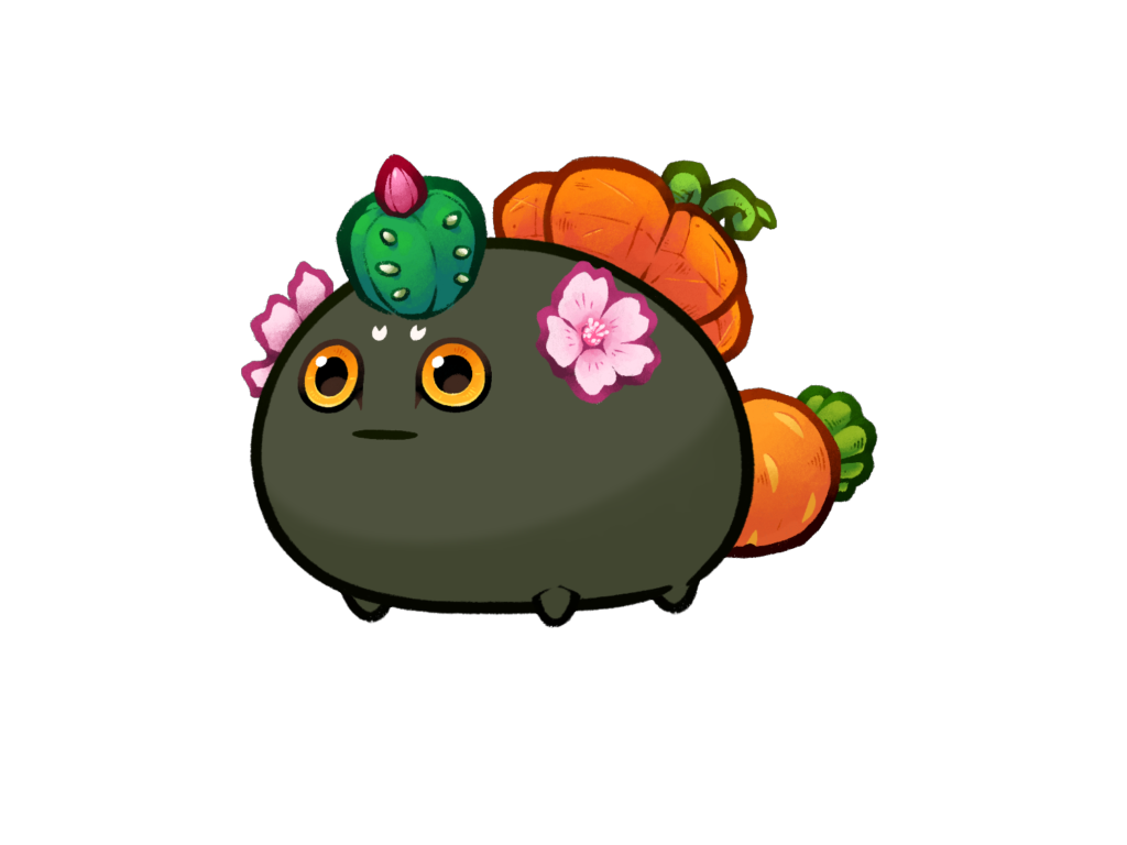 Axie Image