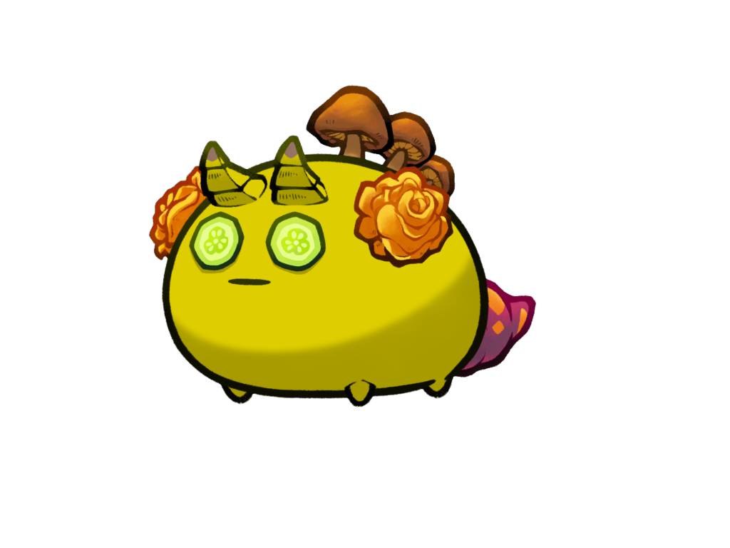 Axie Image